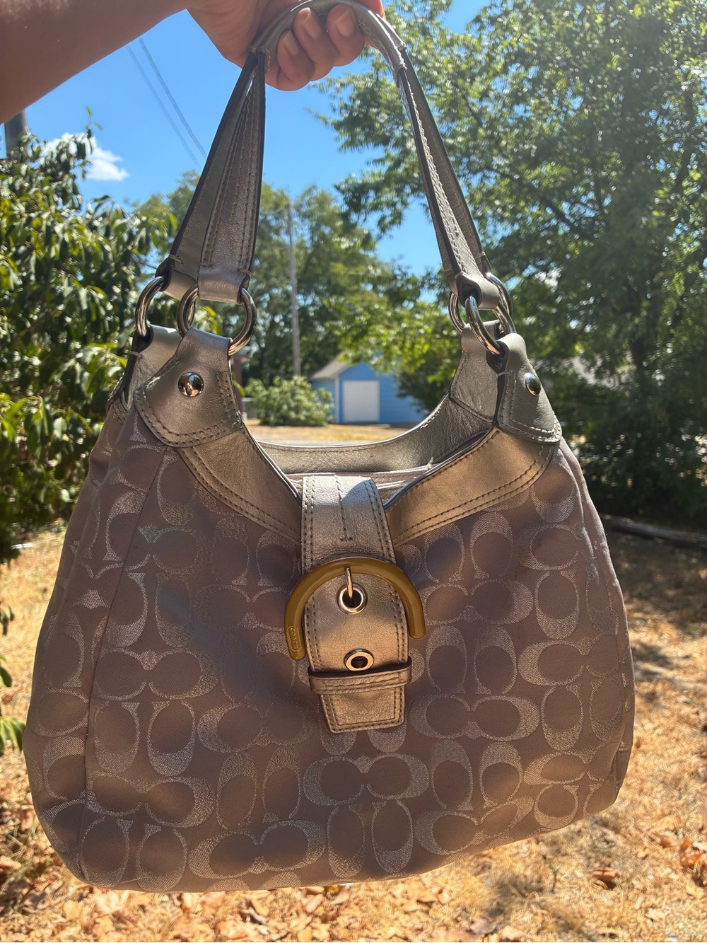 Coach Metallic Taupe/Silver Signature Hobo with Buckle Accent